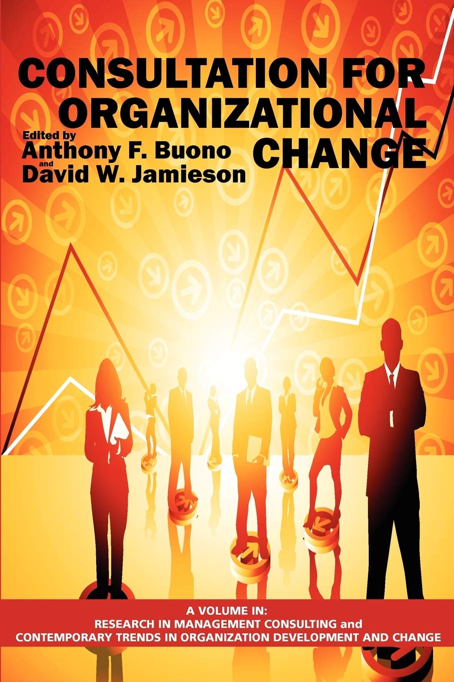 Consultation for Organizational Change (Research in Management Consulting),Used