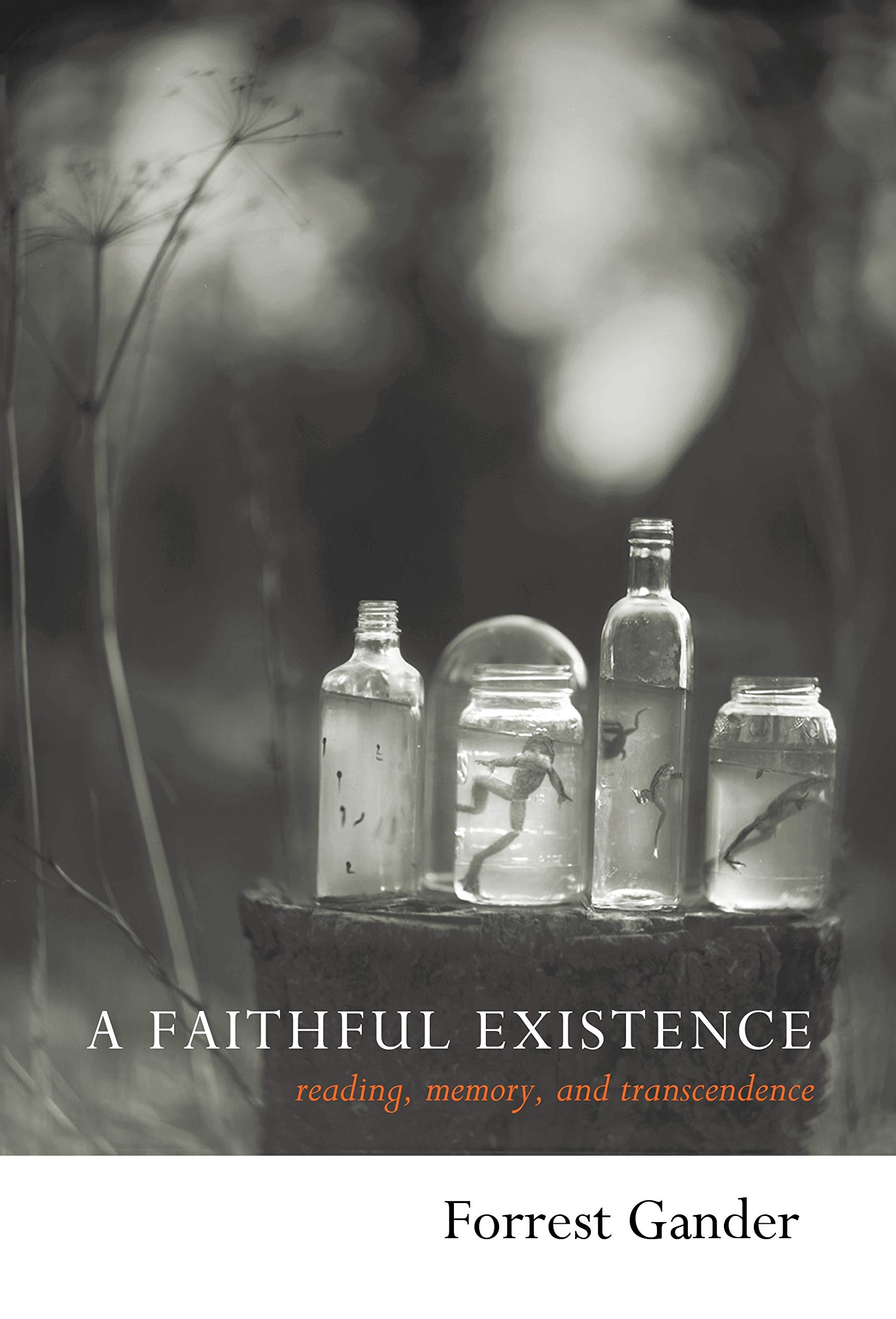 A Faithful Existence: Reading, Memory, and Transcendence,Used