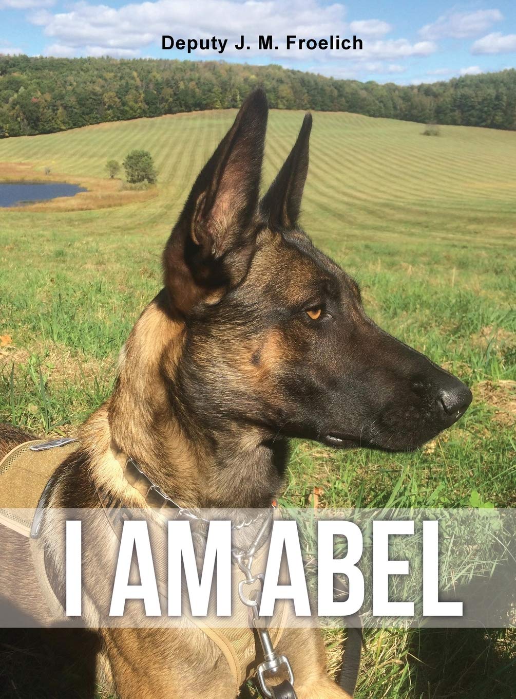 I Am Abel,Used