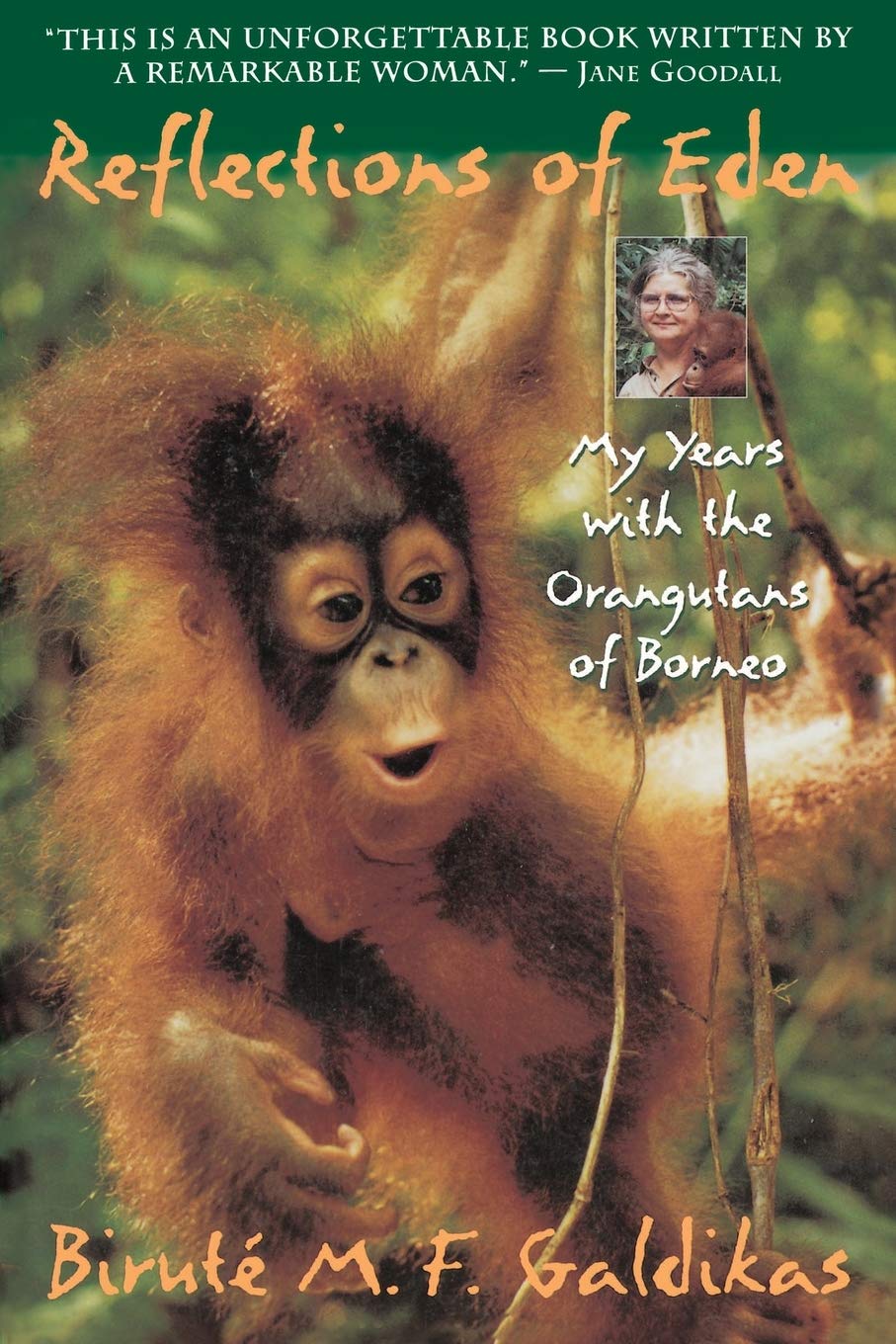 Reflections Of Eden: My Years With The Orangutans Of Borneo