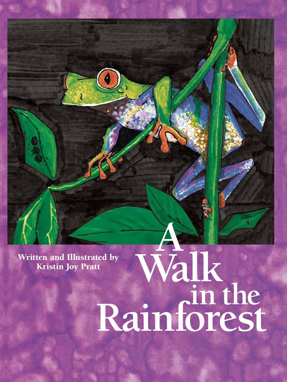 A Walk in the Rainforest,Used
