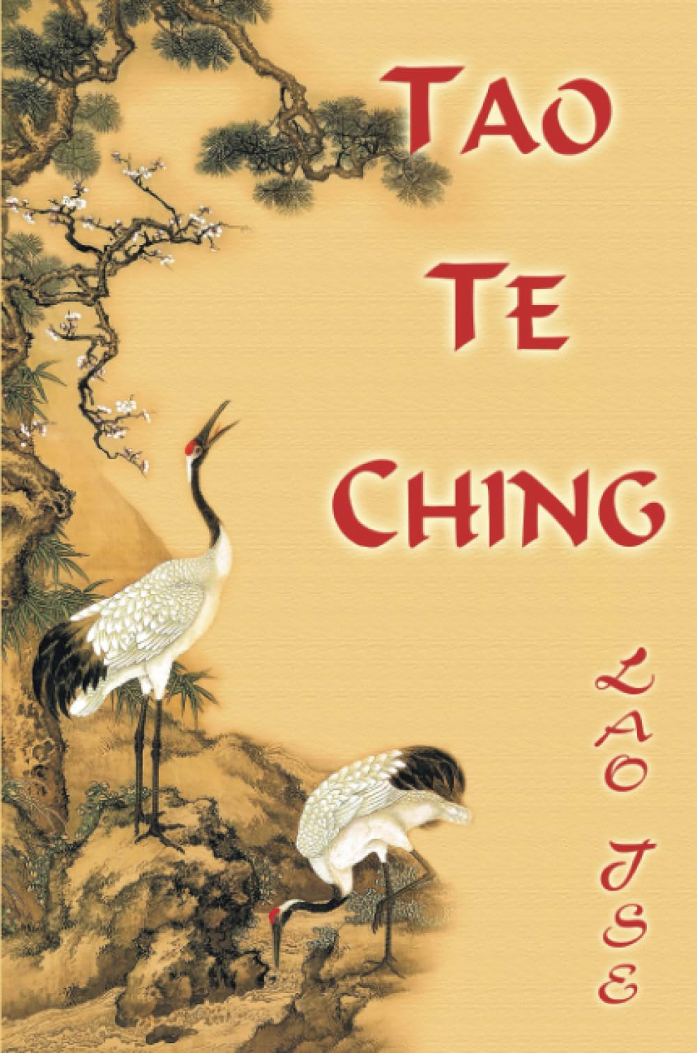 Lao Tse. Tao Te Ching,Used