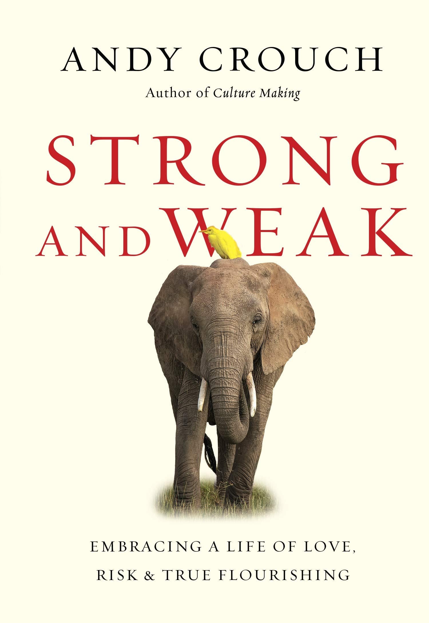 Strong And Weak: Embracing A Life Of Love, Risk And True Flourishing
