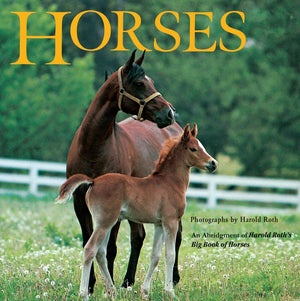 Horses,New