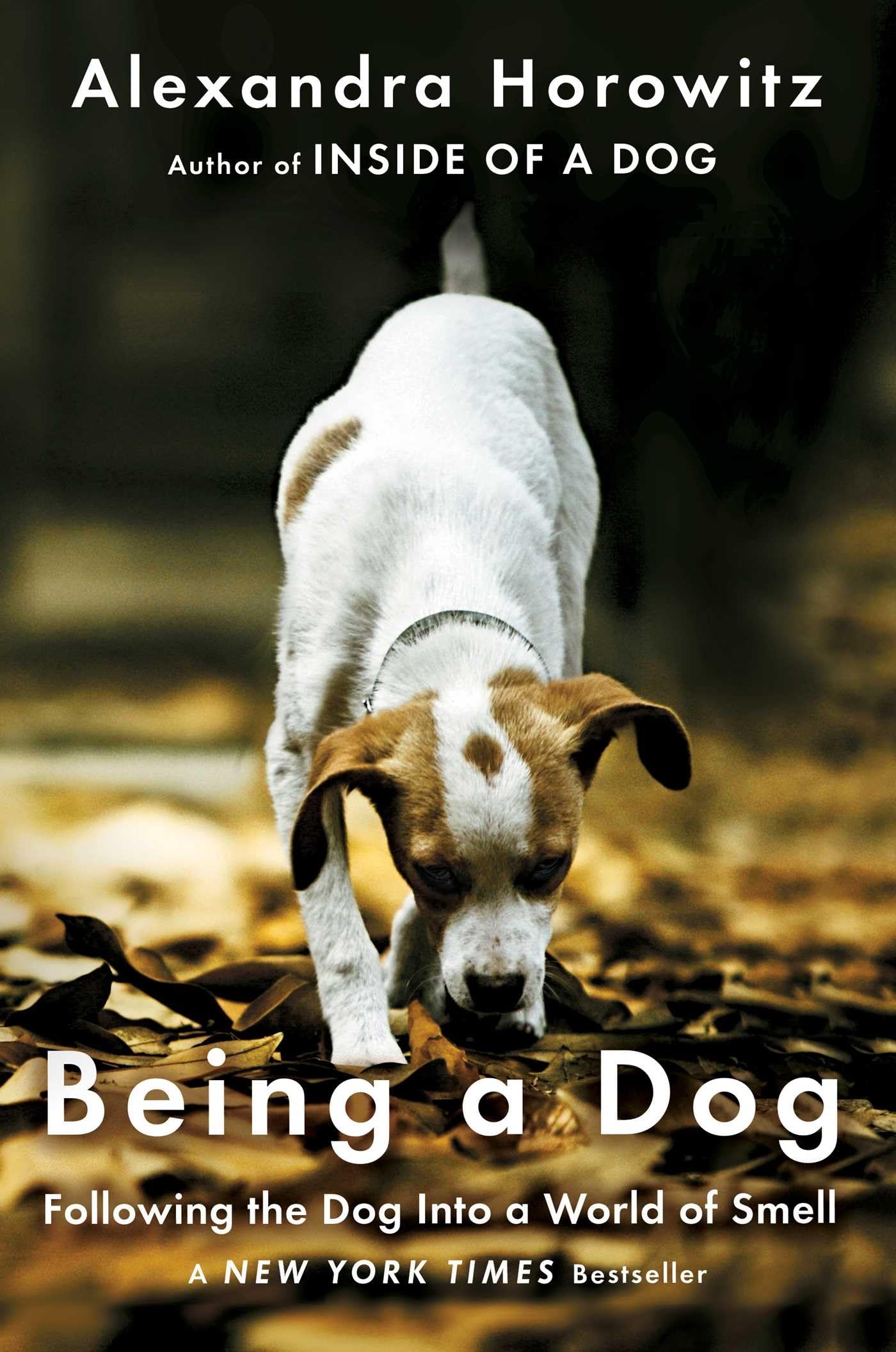 Being A Dog: Following The Dog Into A World Of Smell