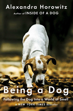 Being A Dog: Following The Dog Into A World Of Smell