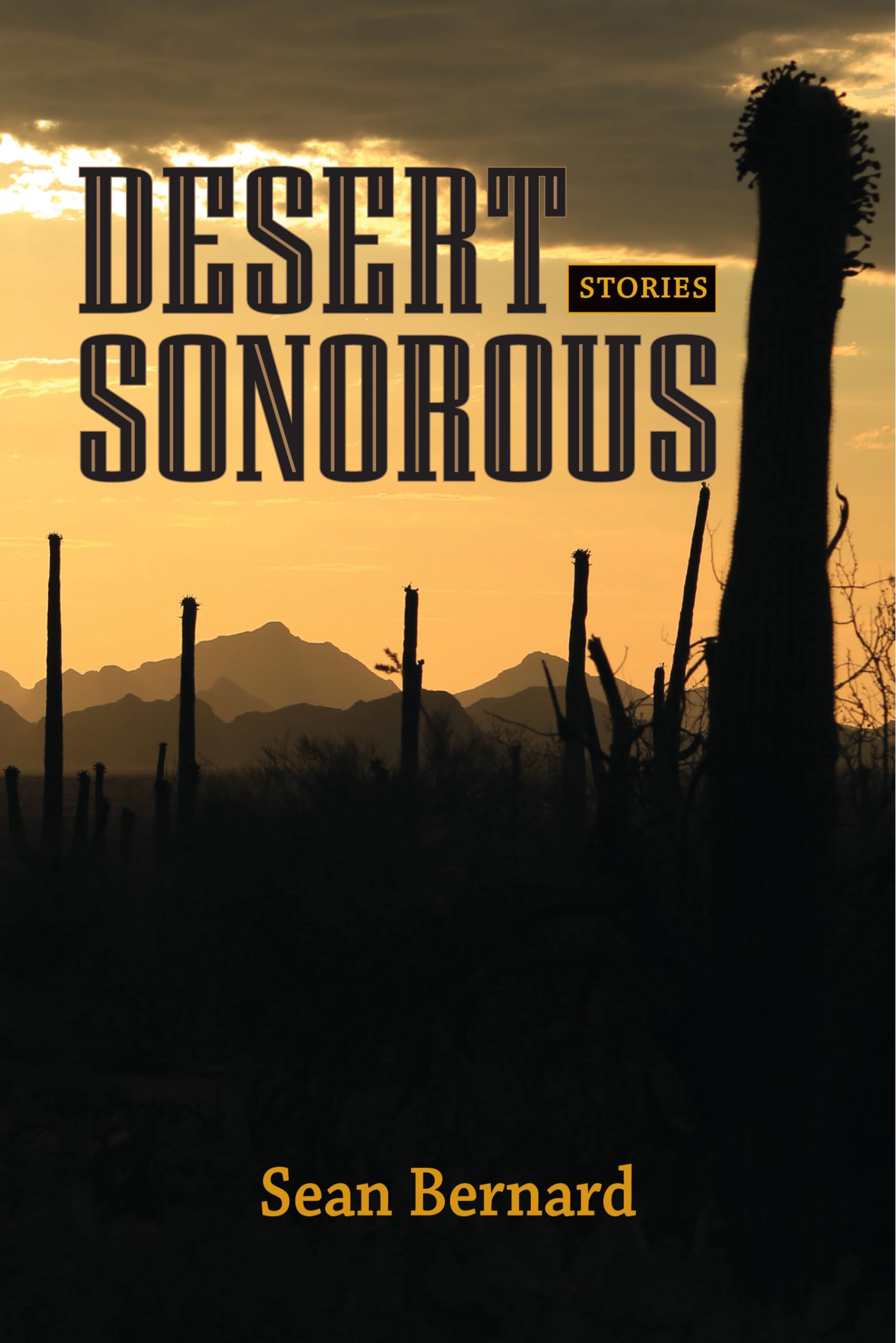 Desert sonorous: Stories (Juniper Prize for Fiction),Used