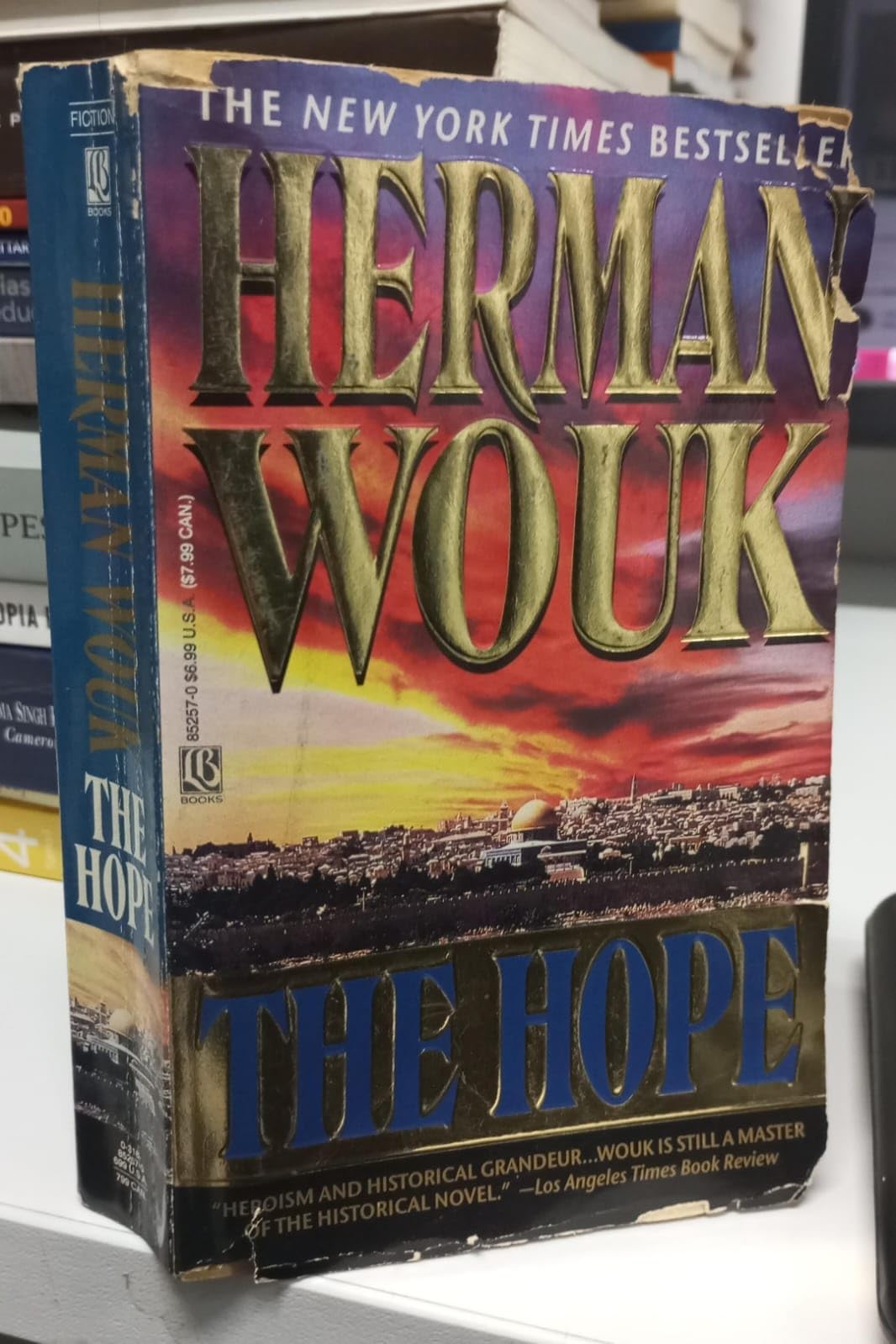 The Hope: A Novel,Used