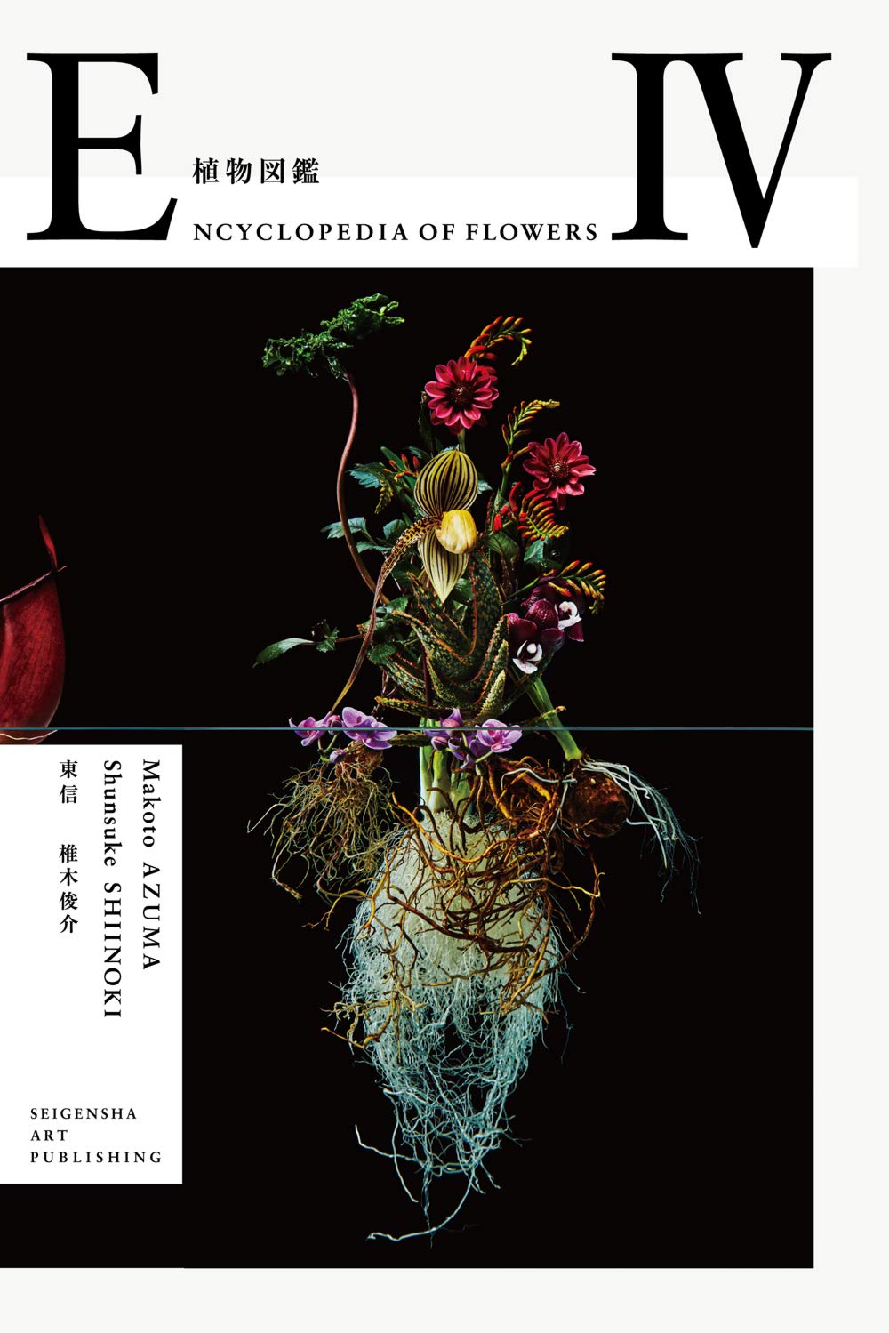 Encyclopedia Of Flowers 4  Makoto Azuma & Shunsuke Shiinoki (Japanese Edition),Used