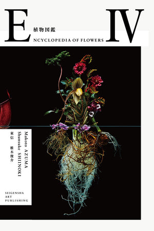 Encyclopedia Of Flowers 4  Makoto Azuma & Shunsuke Shiinoki (Japanese Edition),Used