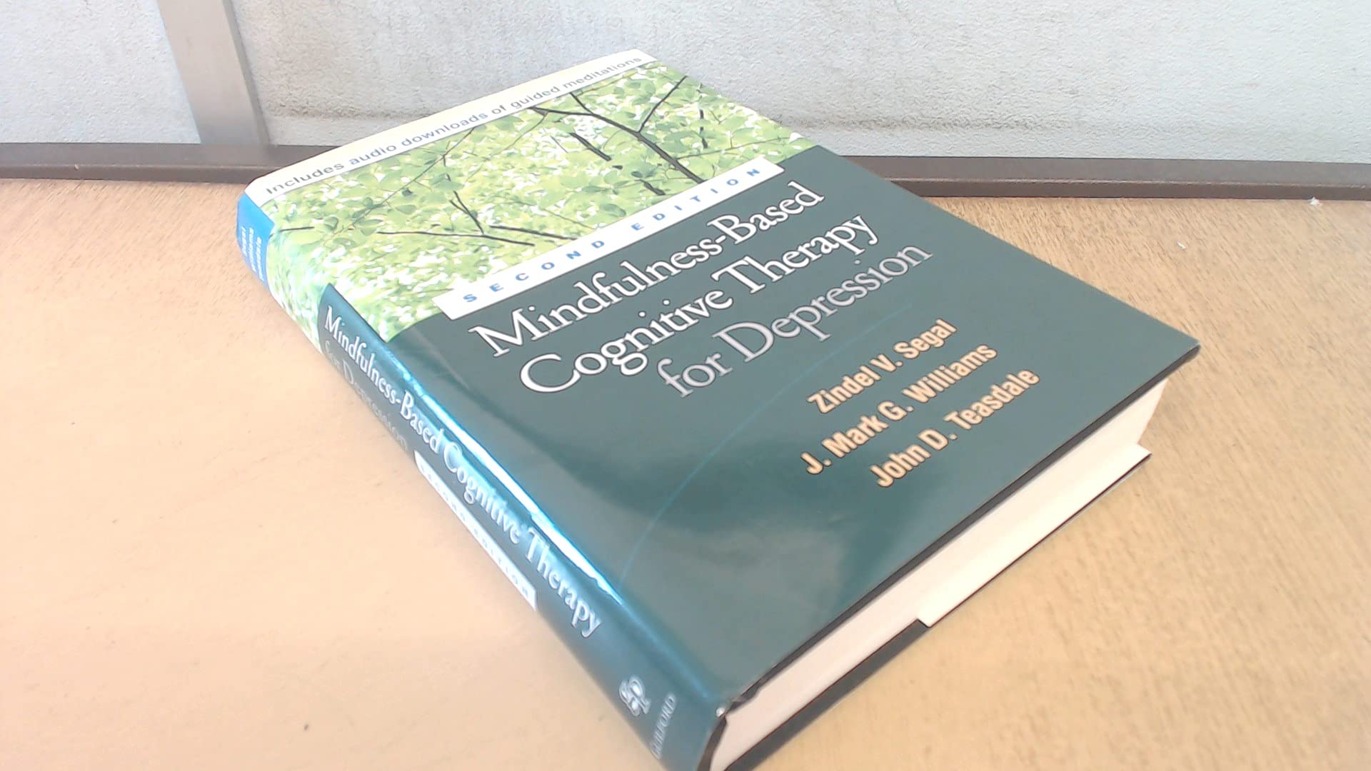 MindfulnessBased Cognitive Therapy for Depression,New