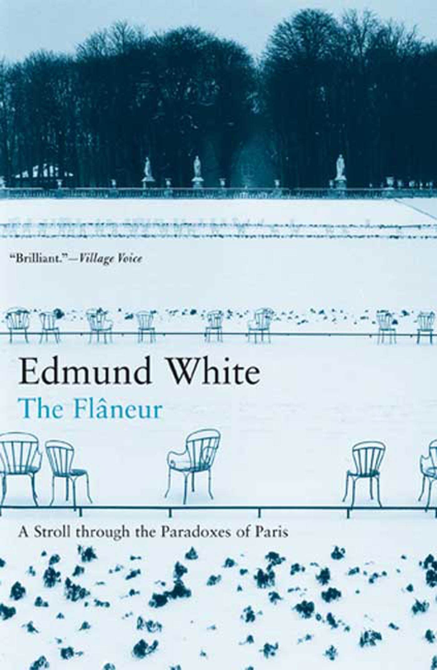 The Flaneur: A Stroll through the Paradoxes of Paris,Used
