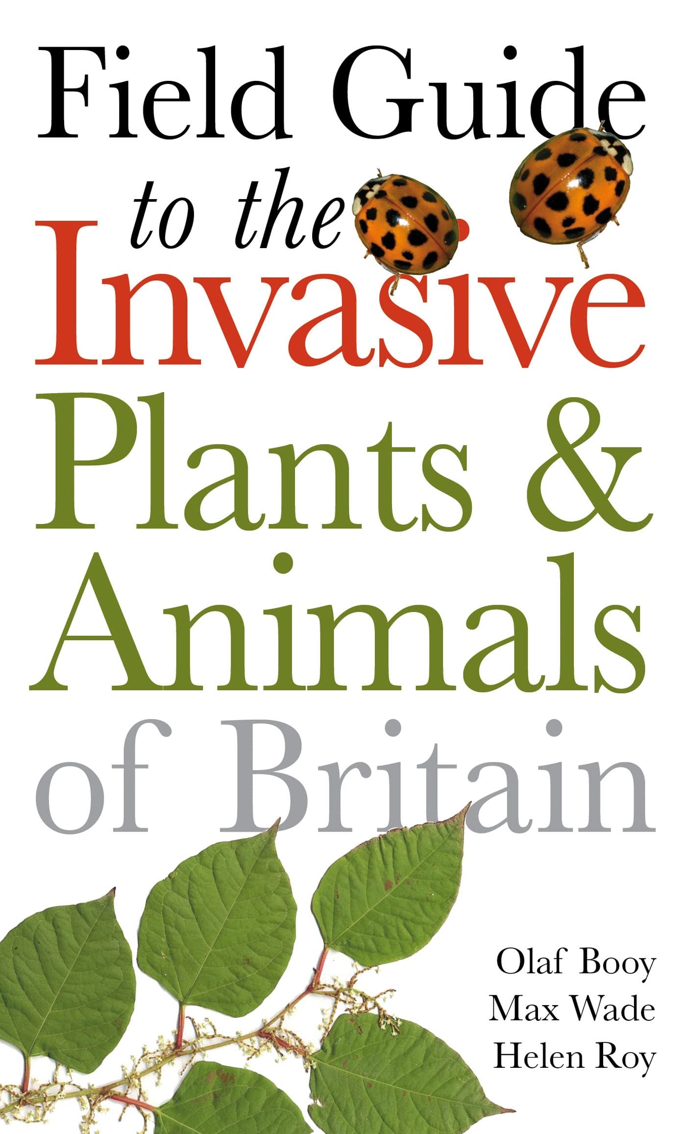 Field Guide to Invasive Plants and Animals in Britain (Helm Field Guides),Used