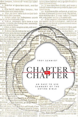 Chapter by Chapter: An Easy to Use Summary of the Entire Bible,Used