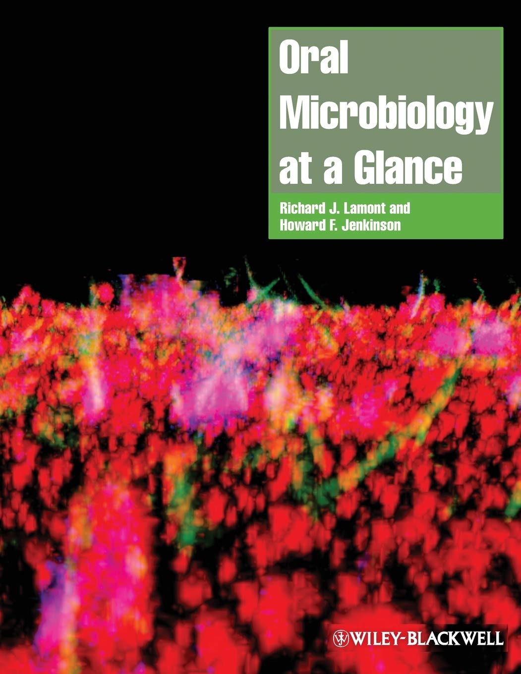 Oral Microbiology At A Glance,Used