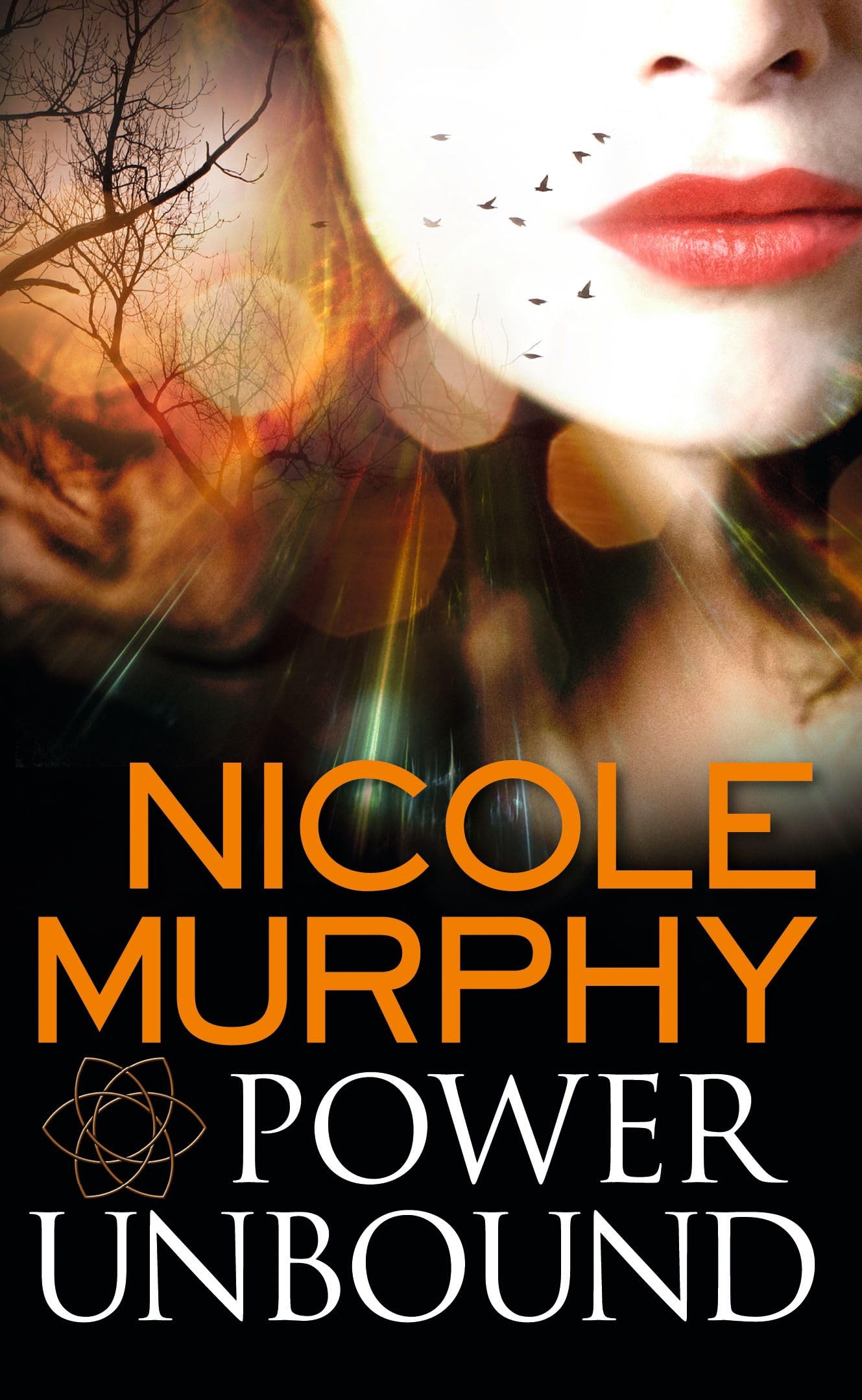 Power Unbound (Dream of Asarlai),Used