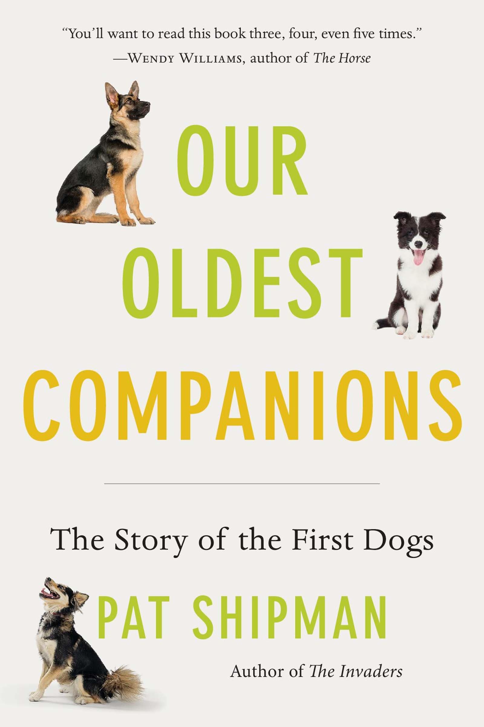 Our Oldest Companions: The Story Of The First Dogs,Used