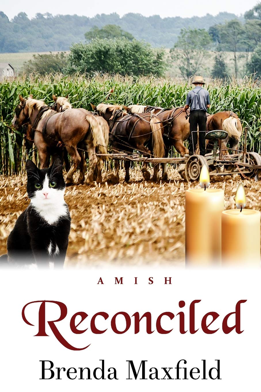 Reconciled (Hannah's Story),Used