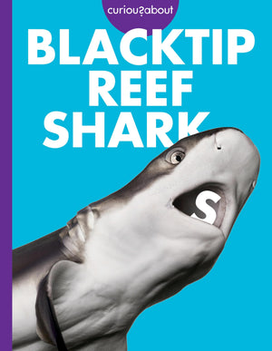 Curious About Blacktip Reef Sharks