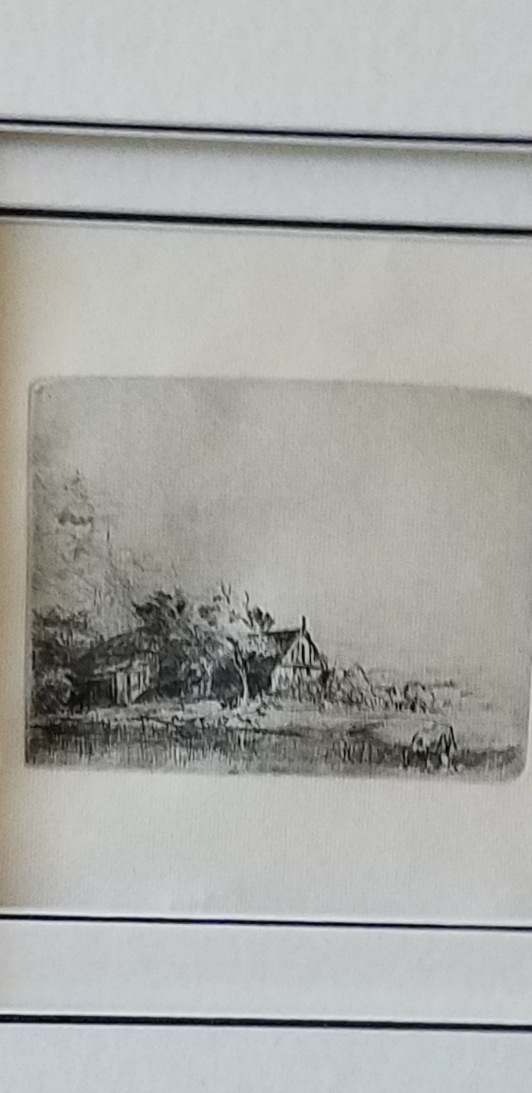 The Complete Etchings of Rembrandt: Reproduced in Original Size (Dover Fine Art, History of Art),Used