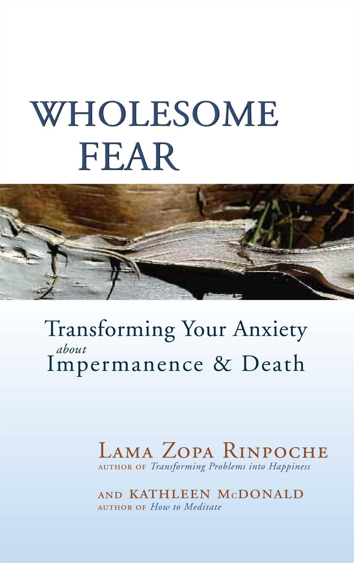 Wholesome Fear: Transforming Your Anxiety About Impermanence And Death,New