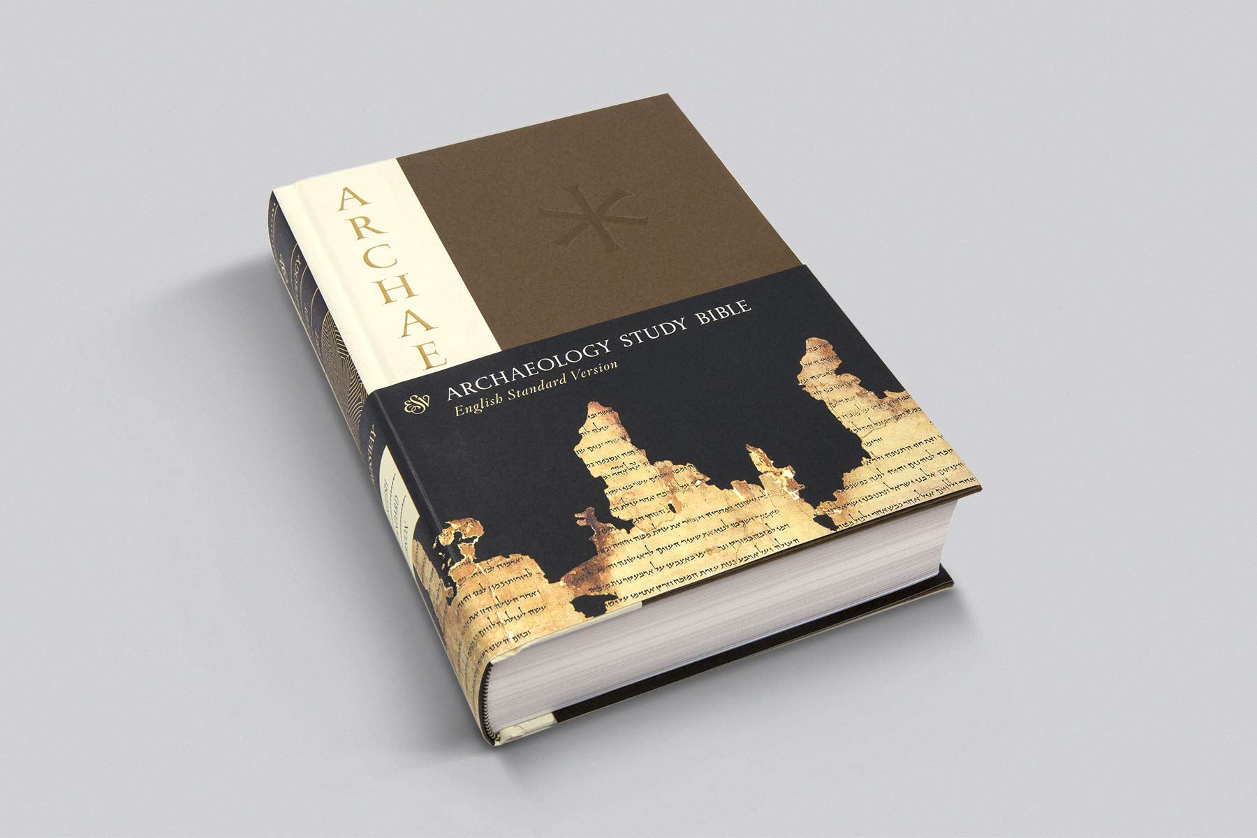 Esv Archaeology Study Bible