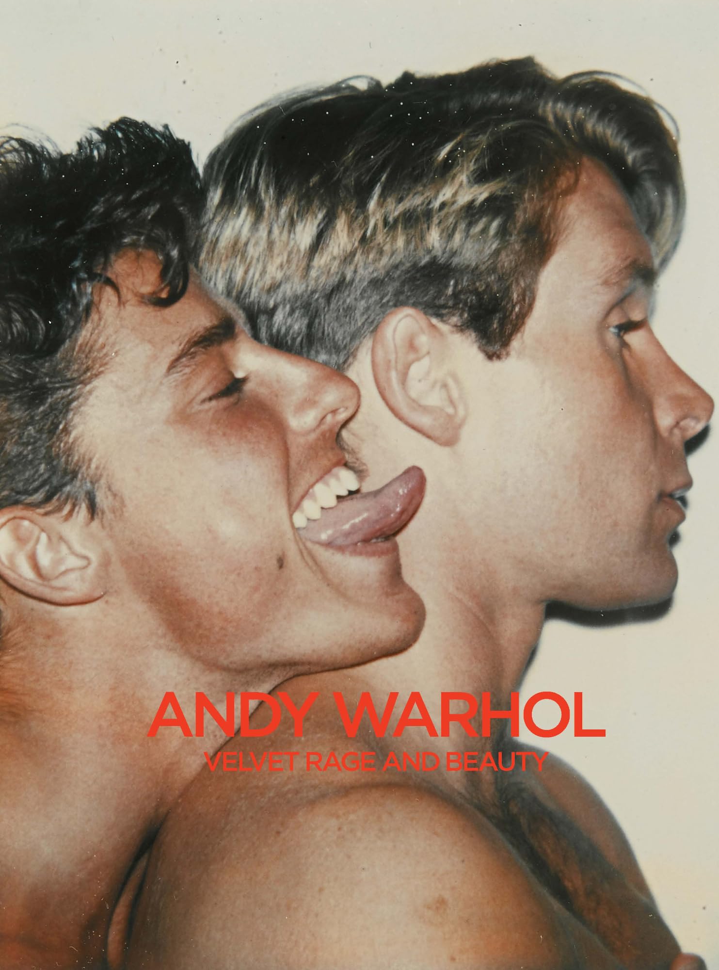Andy Warhol: Velvet Rage and Beauty,New