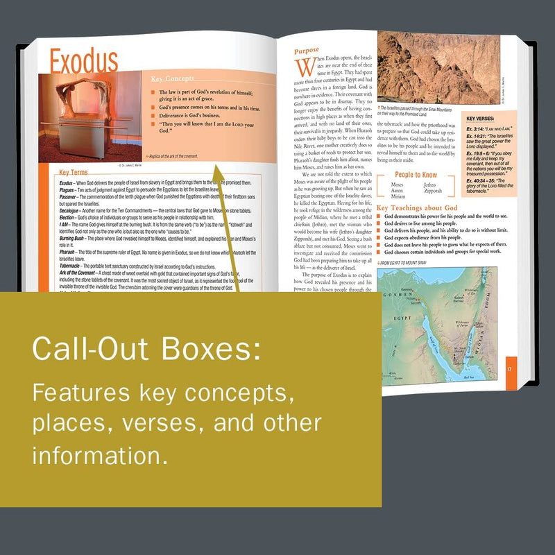 The Essential Bible Companion: Key Insights for Reading God's Word (Essential Bible Companion Series),Used