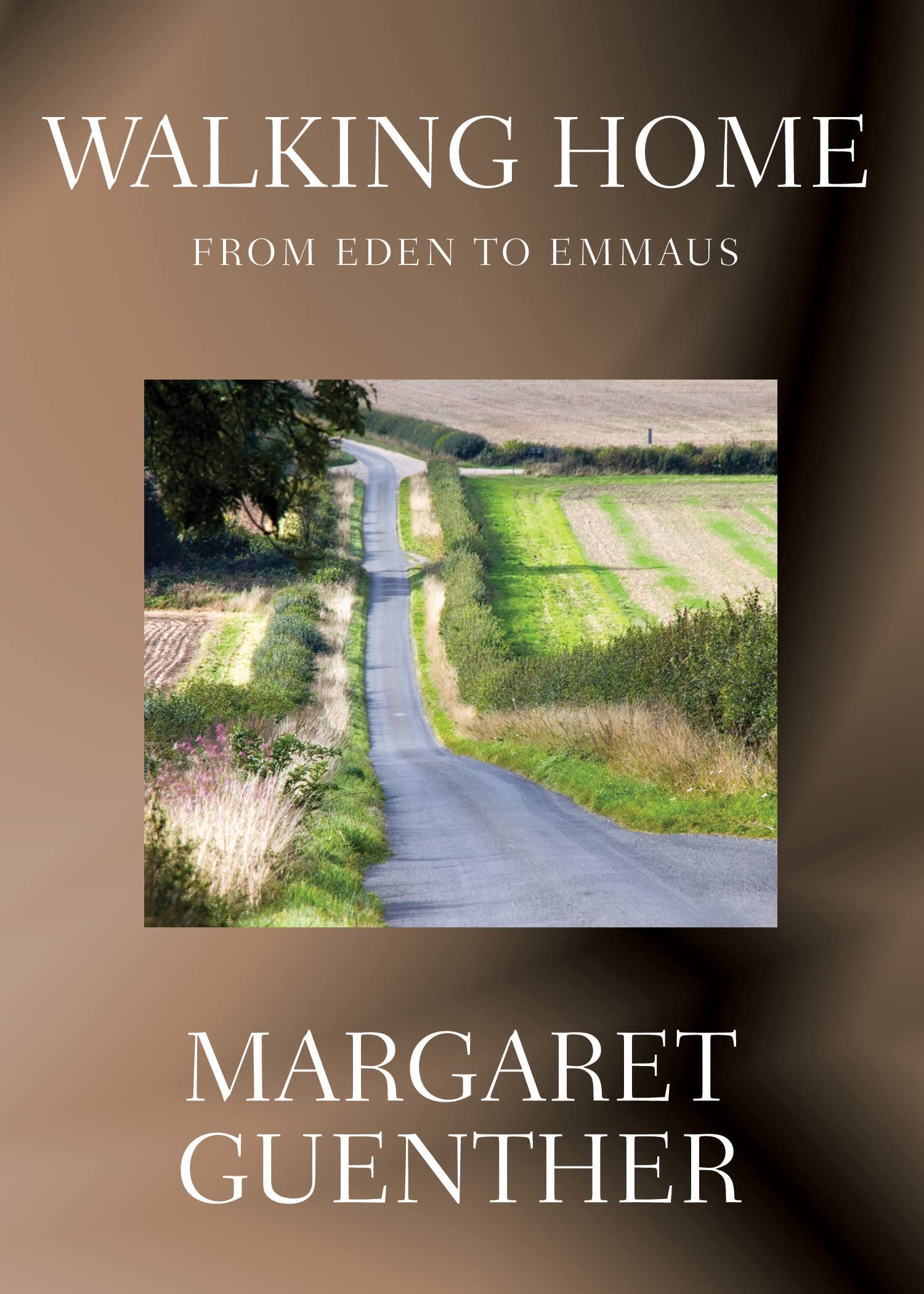 Walking Home: From Eden to Emmaus,Used