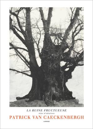 Patrick Van Caeckenbergh: La Ruine Fructueuse: Atlas d idations,Used
