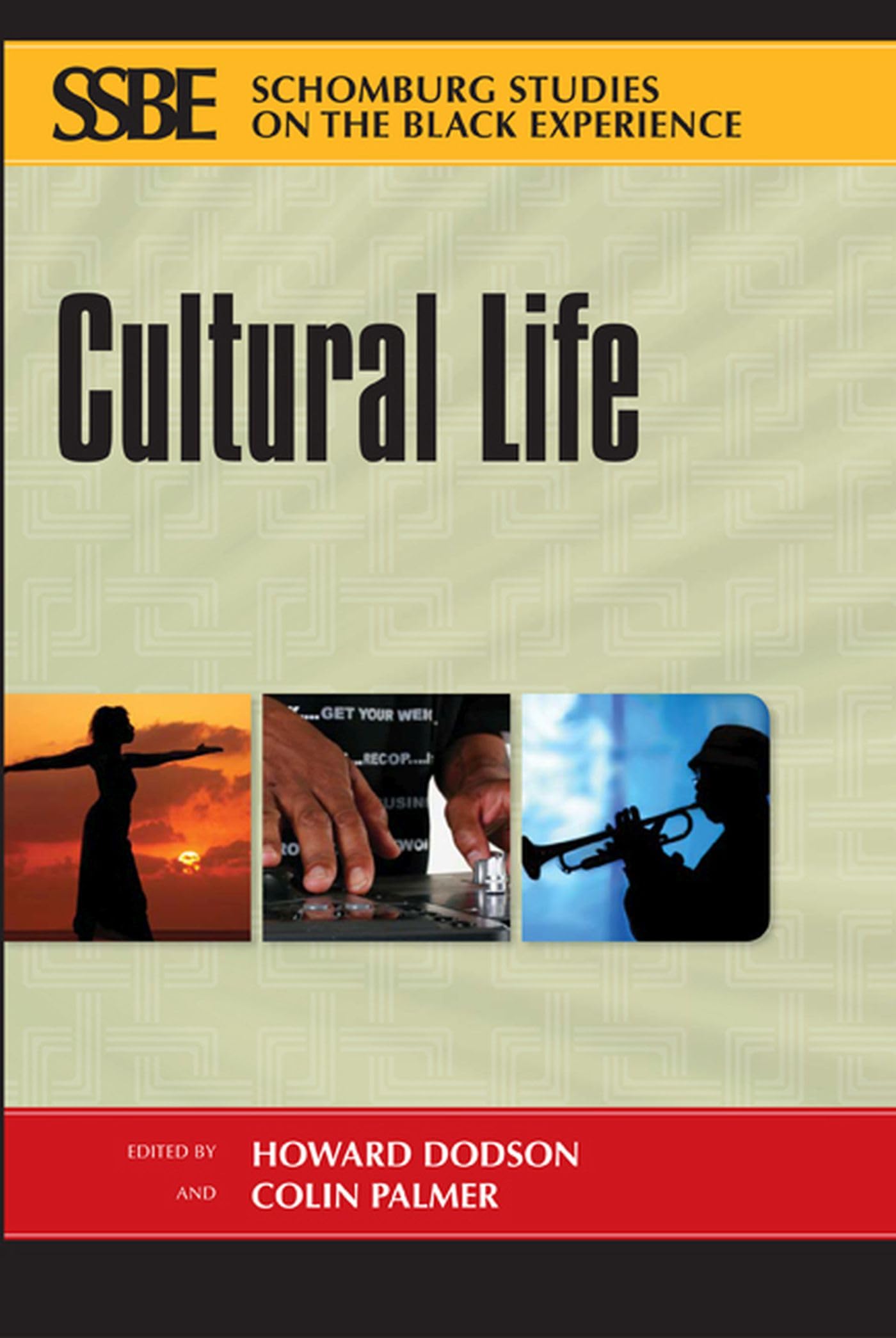 Cultural Life (Schomburg Studies On The Black Experience),Used