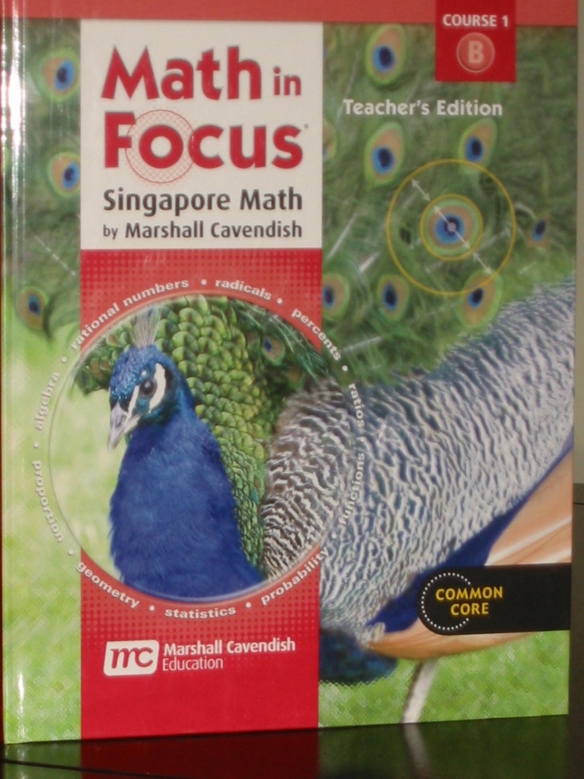 Math In Focus: Singapore Math Grade 6: Teacher Edition, Volume B-used