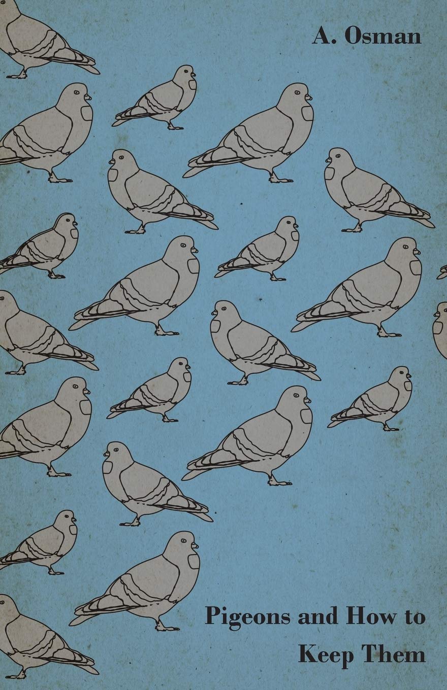 Pigeons And How To Keep Them,Used