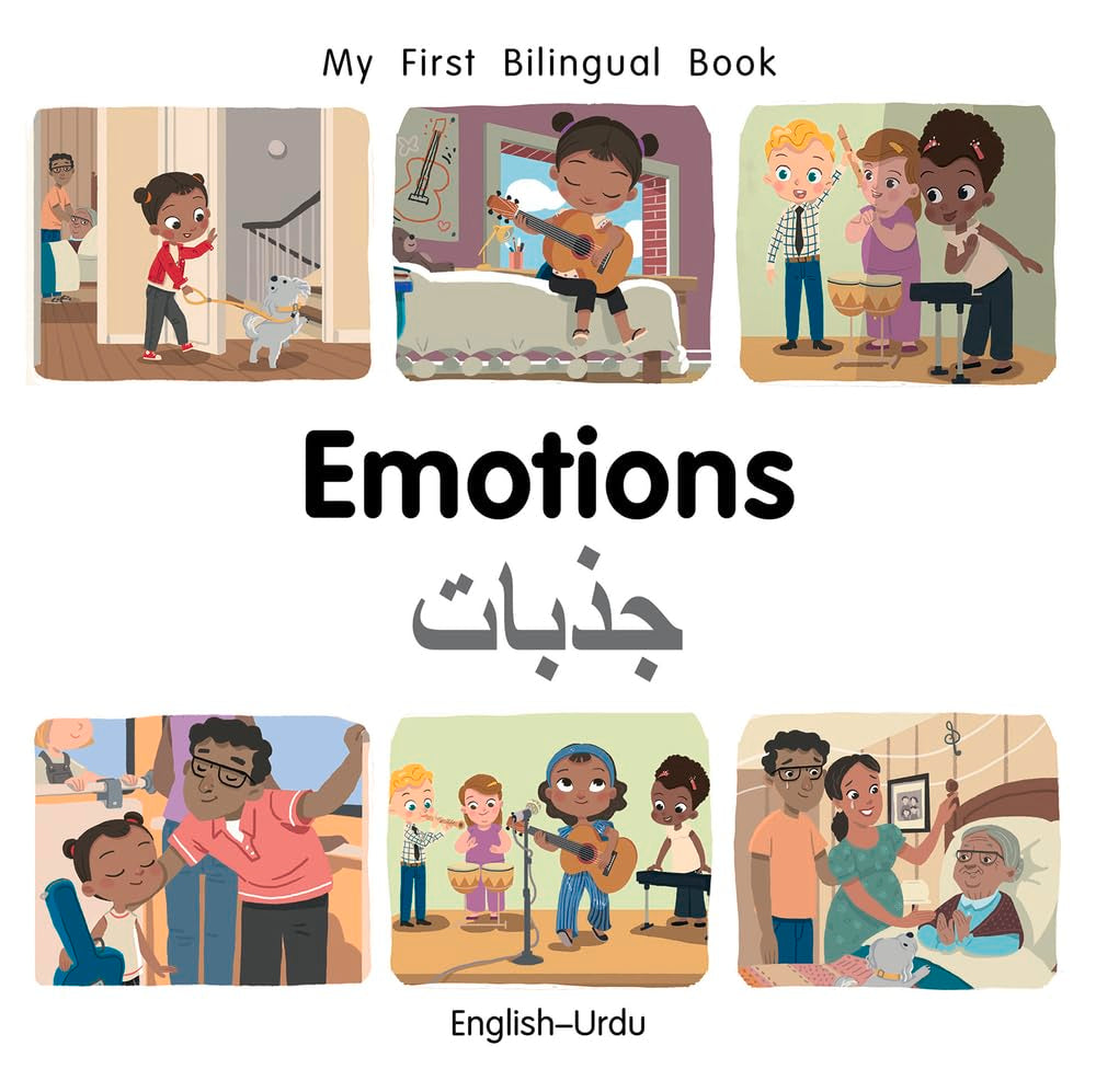 My First Bilingual BookEmotions (EnglishUrdu),Used