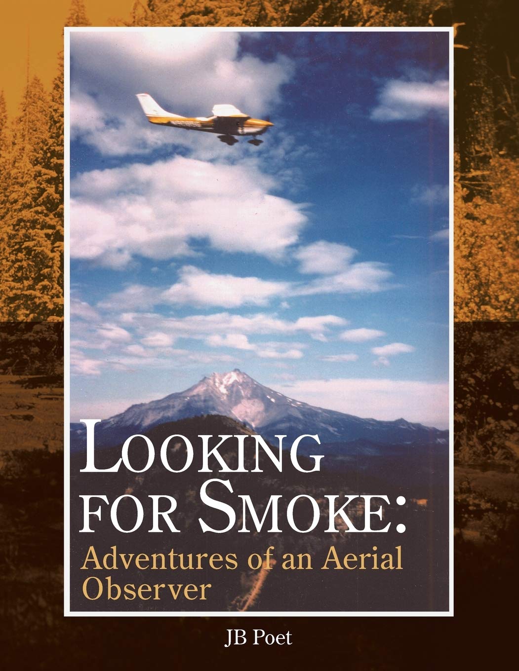 Looking For Smoke: Adventures Of An Aerial Observer: Adventures Of An Aerial Observer,New