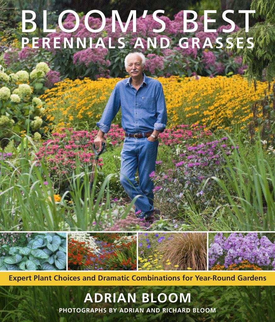 Bloom's Best Perennials and Grasses: Expert Plant Choices and Dramatic Combinations for YearRound Gardens,Used