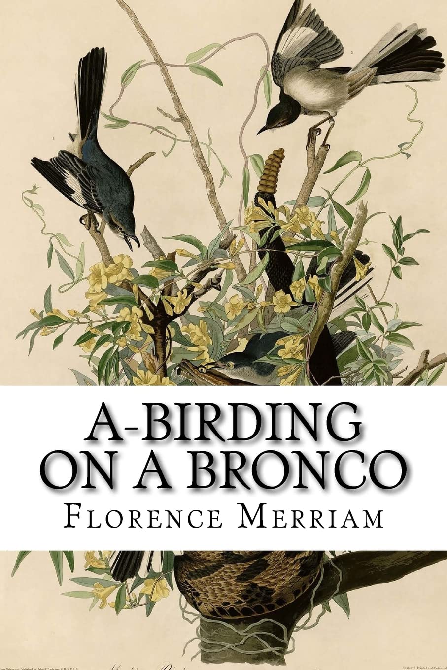 ABirding on a Bronco,Used