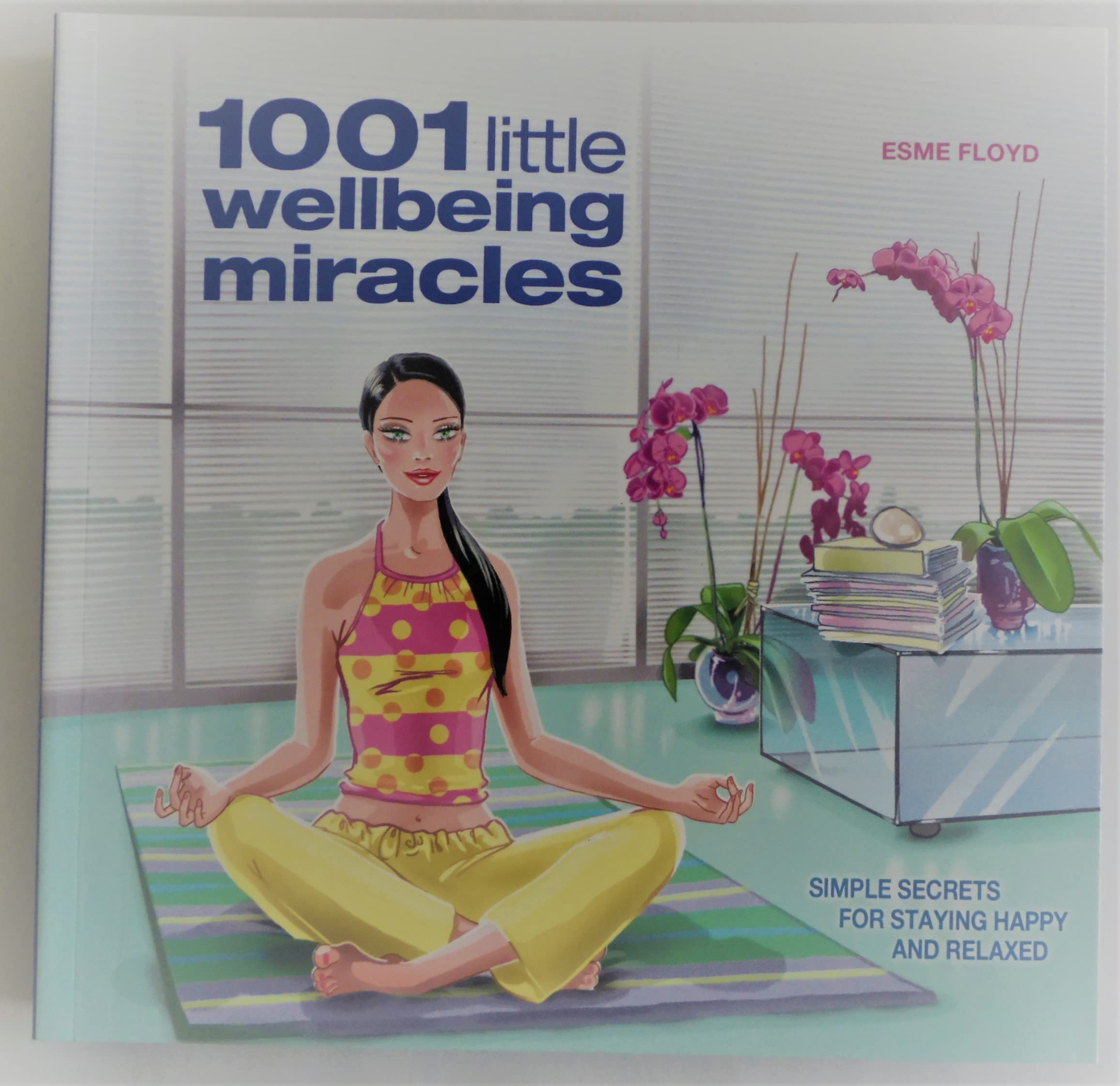 1001 Little Wellbeing Miracles: Simple Secrets For Staying Happy And Relaxed,Used
