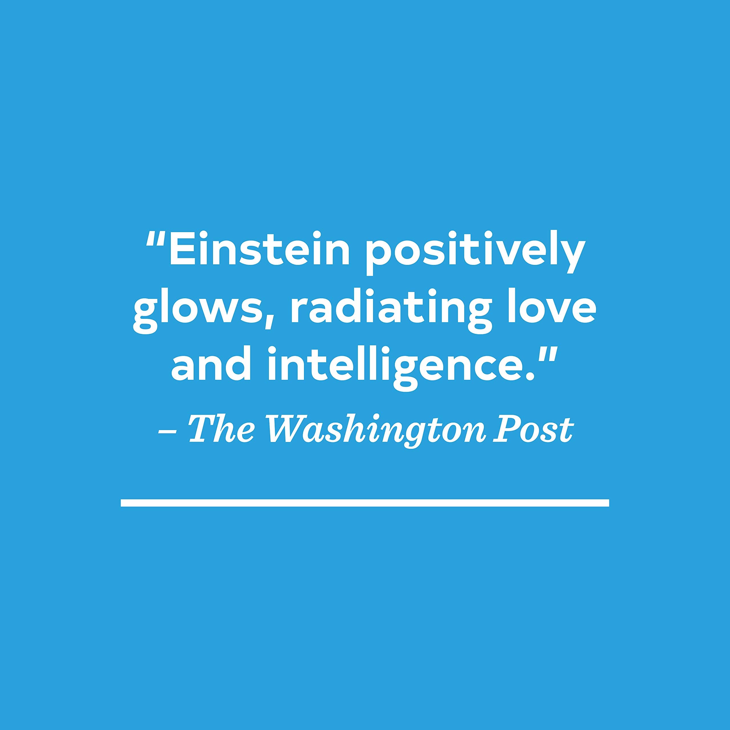 On A Beam Of Light: A Story Of Albert Einstein (Illustrated Biographies By Chronicle Books)-used