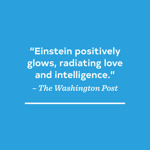 On A Beam Of Light: A Story Of Albert Einstein (Illustrated Biographies By Chronicle Books)-used