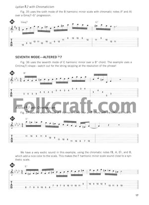 Advanced Scale Concepts and Licks for Guitar: Private Lessons,New