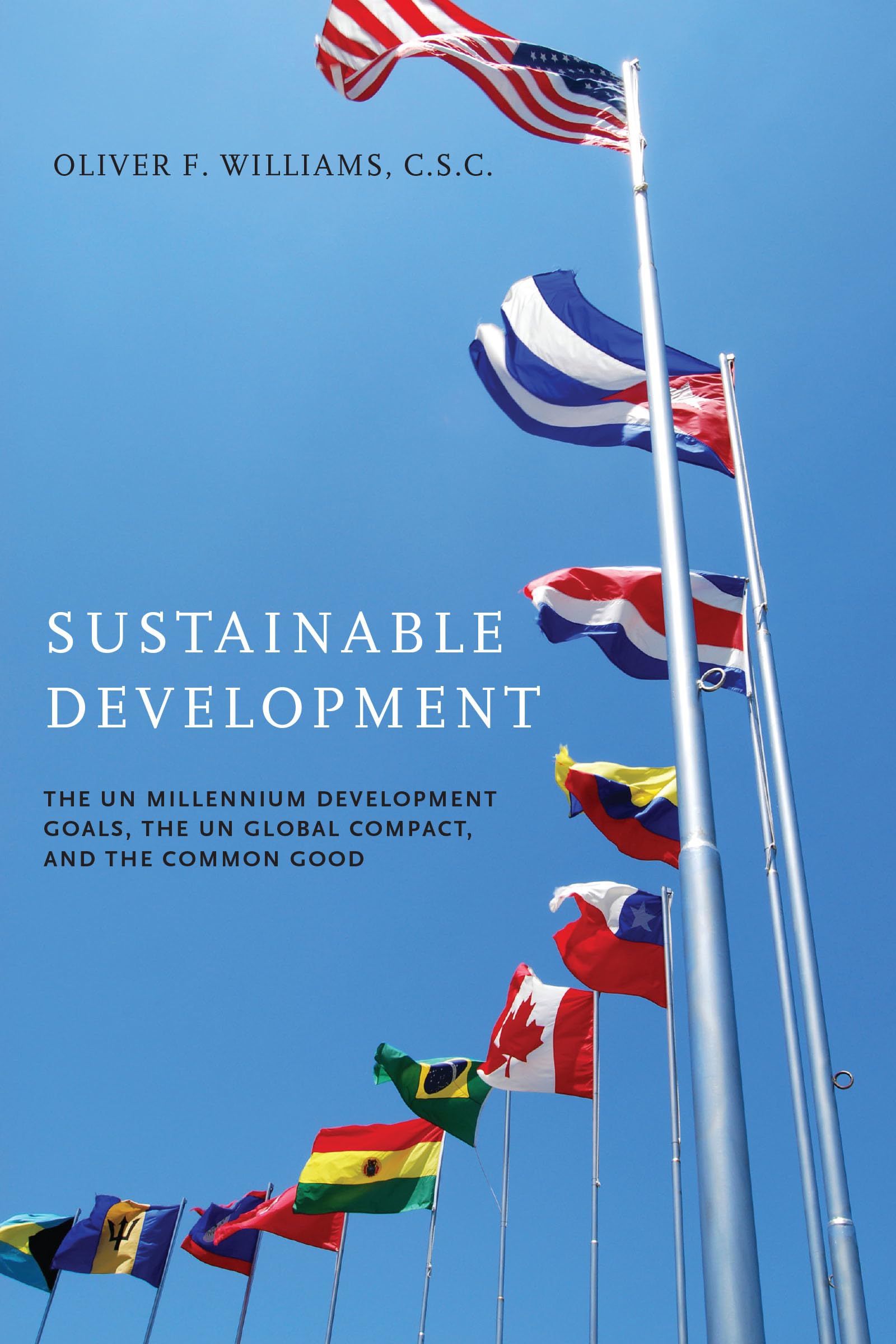 Sustainable Development: The Un Millennium Development Goals, The Un Global Compact, And The Common Good (John W. Houck Notre Da