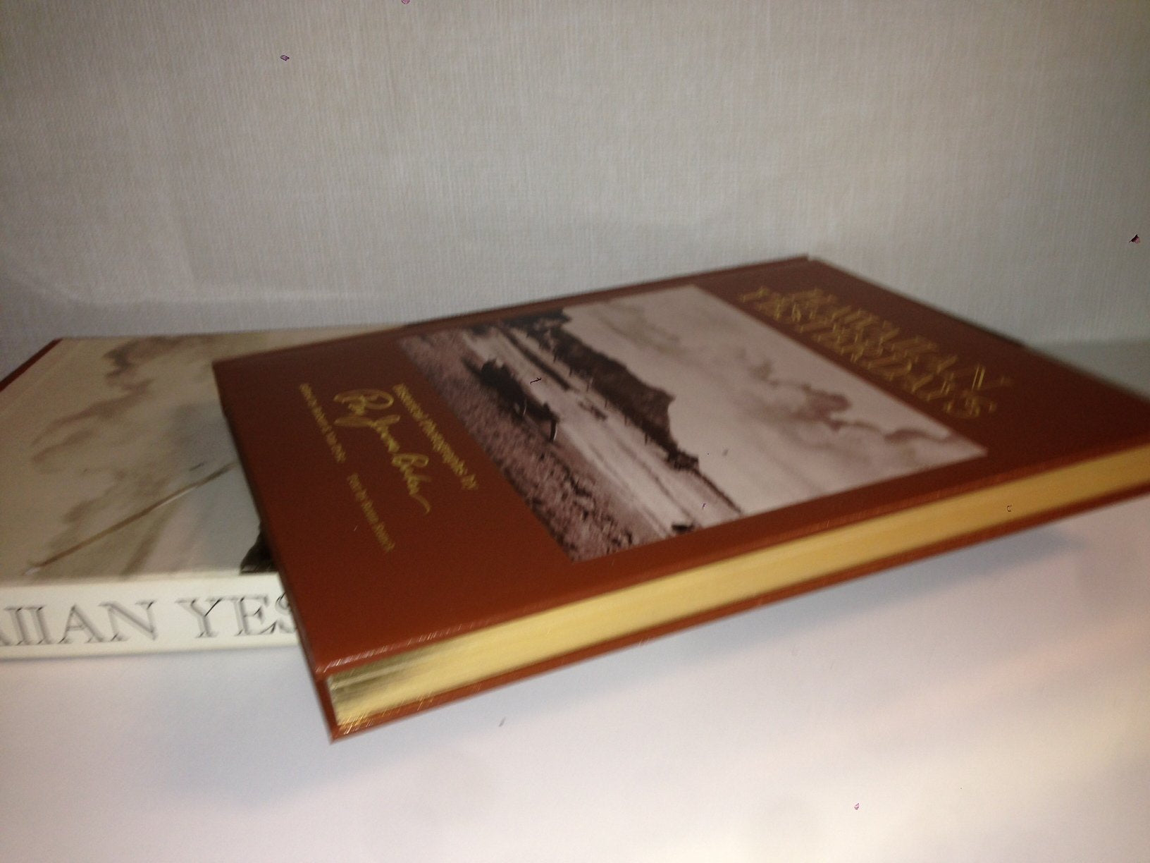 Hawaiian Yesterdays: Historical Photographs