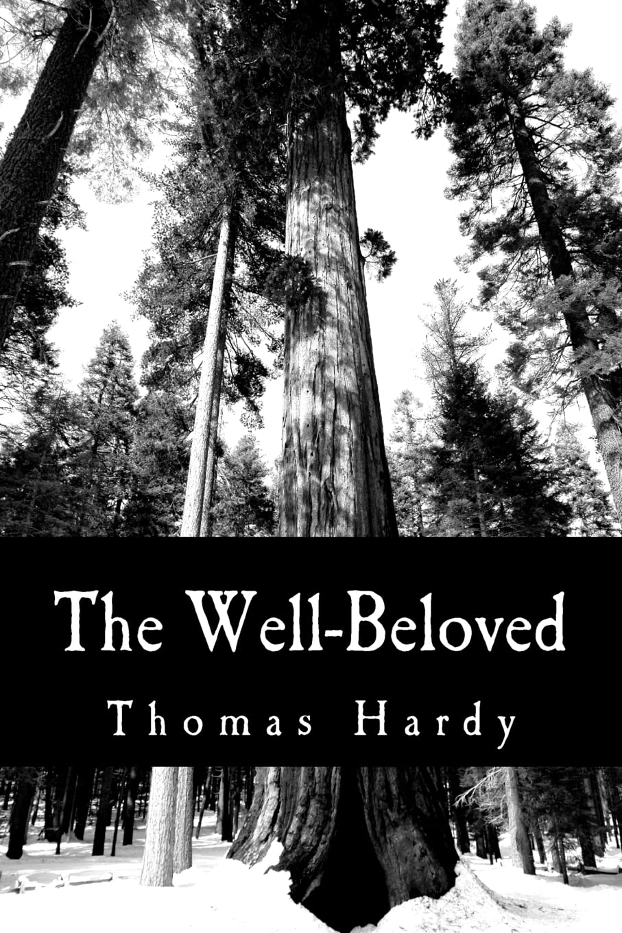The Wellbeloved,Used