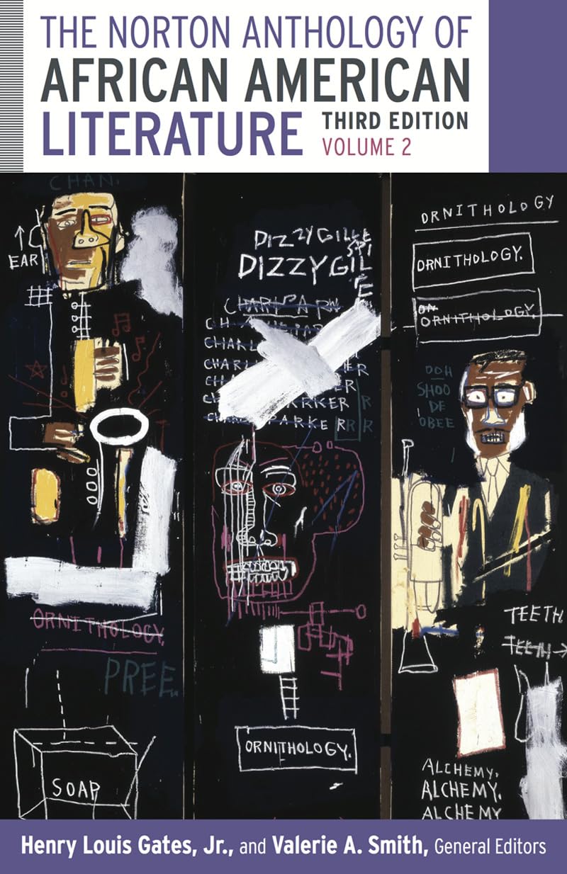 The Norton Anthology Of African American Literature,Used