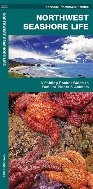 Northwestern Seashore Life: A Folding Pocket Guide to Familiar Plants & Animals (A Pocket Naturalist Guide),Used