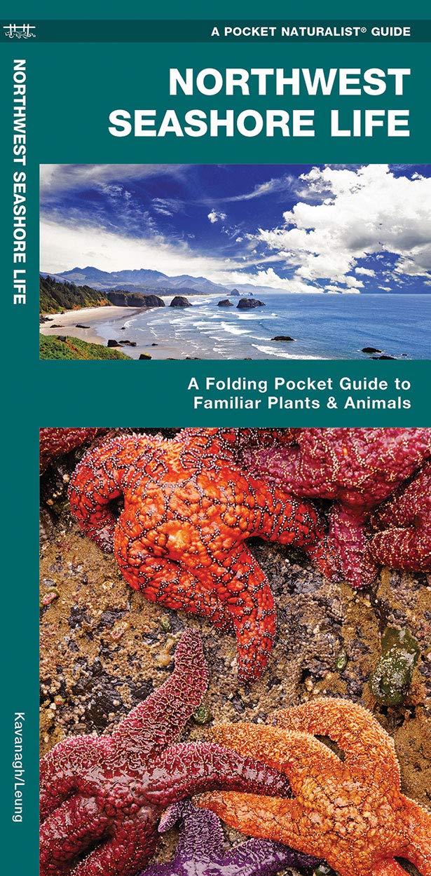 Northwestern Seashore Life: A Folding Pocket Guide to Familiar Plants & Animals (A Pocket Naturalist Guide),Used