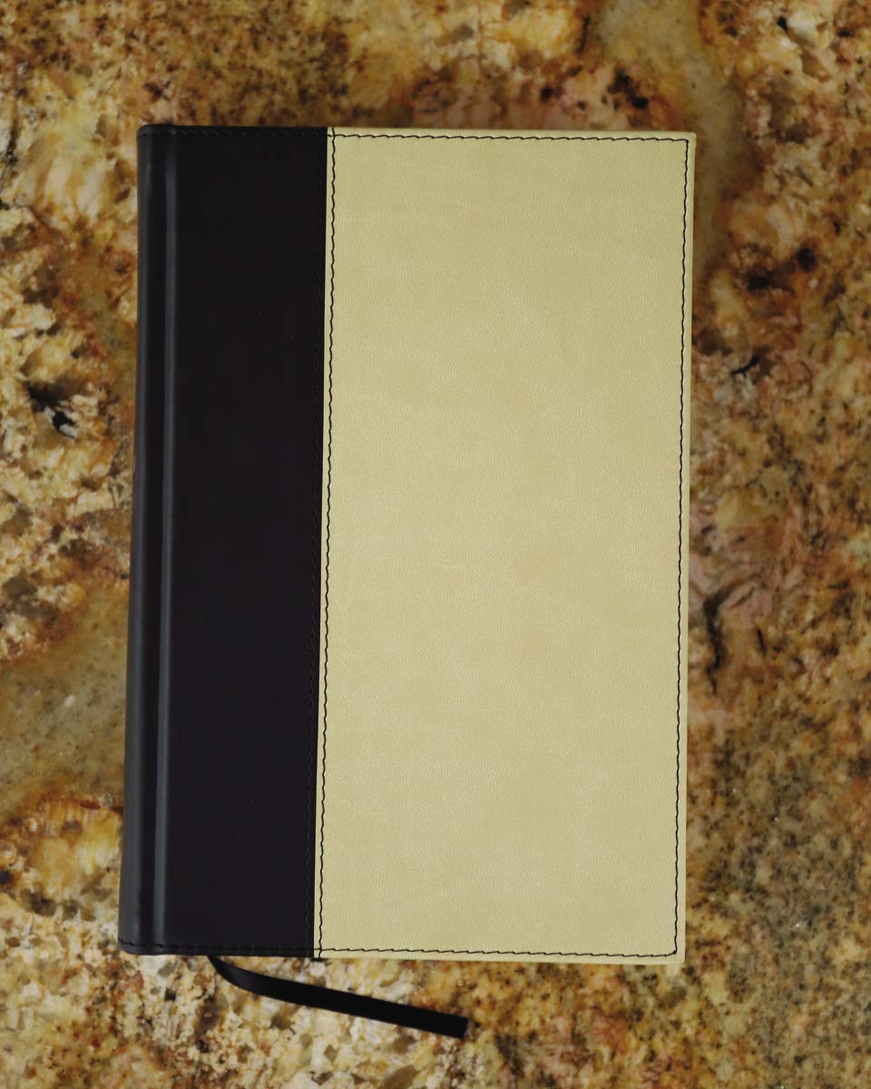 NRSV Standard Bible (tan/black),Used