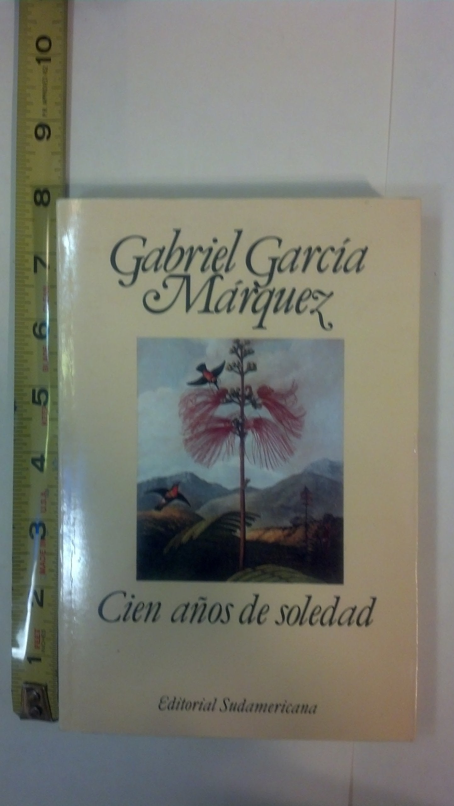 Cien Aos De Soledad/ 100 Years Of Solitude