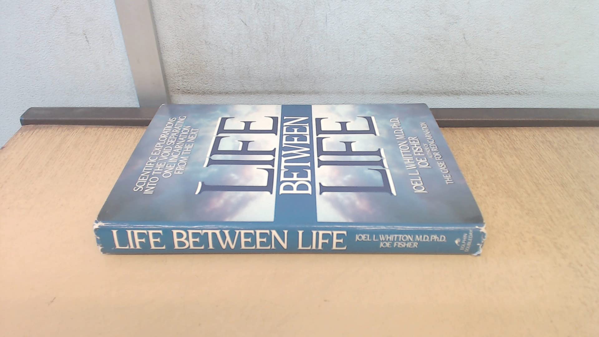 Life Between Life,New